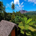 Castle Tree House And Bungalow